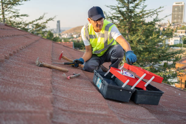 Best Construction Debris Removal  in Avondale, AZ
